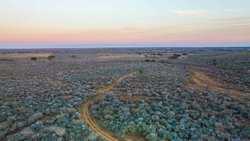Devine TX