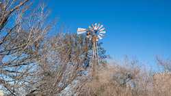 Devine TX