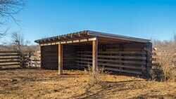 Devine TX
