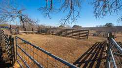 Devine TX