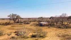 Devine TX