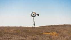 Devine TX