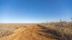 Devine TX