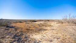 Devine TX