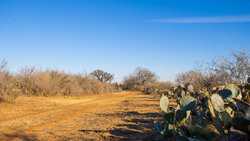 Devine TX