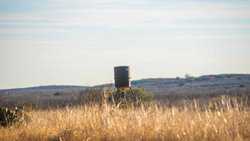 Devine TX