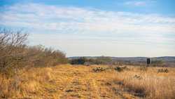 Devine TX
