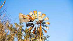 Devine TX