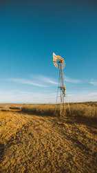 Devine TX