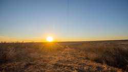 Devine TX
