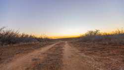 Devine TX
