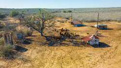 Devine TX