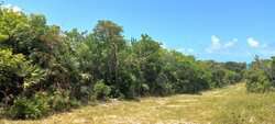 Eleuthera BS