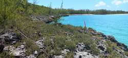 Eleuthera BS