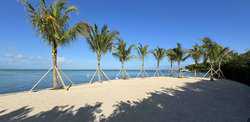 Harbour Island BS