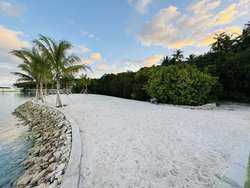 Harbour Island BS