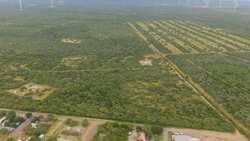 TBD Us Highway 83 New Falcon TX 78564
