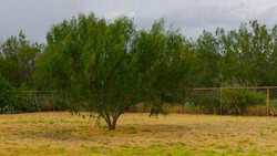 TBD Us Highway 83 New Falcon TX 78564