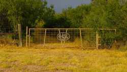 TBD Us Highway 83 New Falcon TX 78564