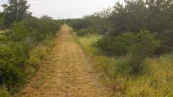 TBD Us Highway 83 New Falcon TX 78564