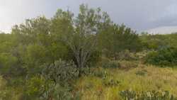 TBD Us Highway 83 New Falcon TX 78564