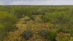 TBD Us Highway 83 New Falcon TX 78564