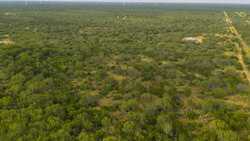 TBD Us Highway 83 New Falcon TX 78564