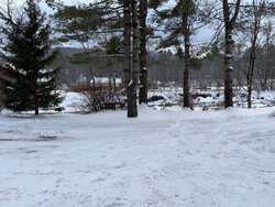 Route 100 Jamaica VT 05343