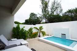 New Providence BS