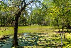 Gonzales TX 78629