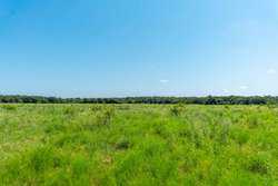 Gonzales TX 78629