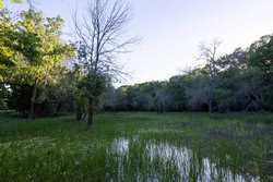Gonzales TX 78629