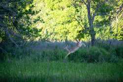 Gonzales TX 78629
