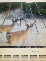 900 Lehmann Drive Center Point TX 78010