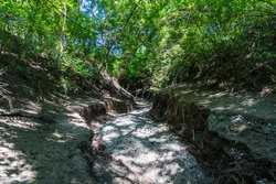 County Road 343 Gonzales TX 78629