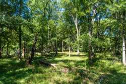 County Road 343 Gonzales TX 78629
