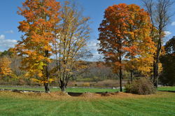 379 Painter Hill Road Roxbury CT 06783