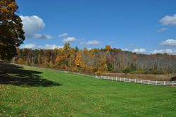 379 Painter Hill Road Roxbury CT 06783