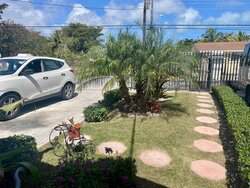 New Providence BS