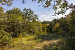 6562 Cross Road Seguin TX 78155