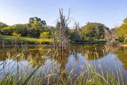 6562 Cross Road Seguin TX 78155