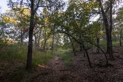 6562 Cross Road Seguin TX 78155