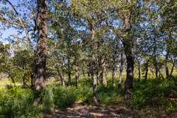 6562 Cross Road Seguin TX 78155