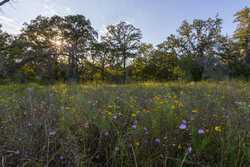 6562 Cross Road Seguin TX 78155