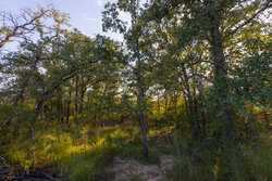 6562 Cross Road Seguin TX 78155