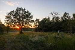 6562 Cross Road Seguin TX 78155