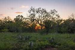 6562 Cross Road Seguin TX 78155