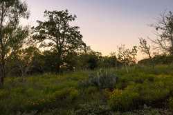 6562 Cross Road Seguin TX 78155