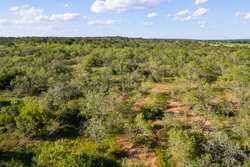 6562 Cross Road Seguin TX 78155