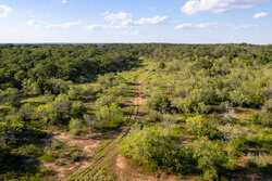 6562 Cross Road Seguin TX 78155